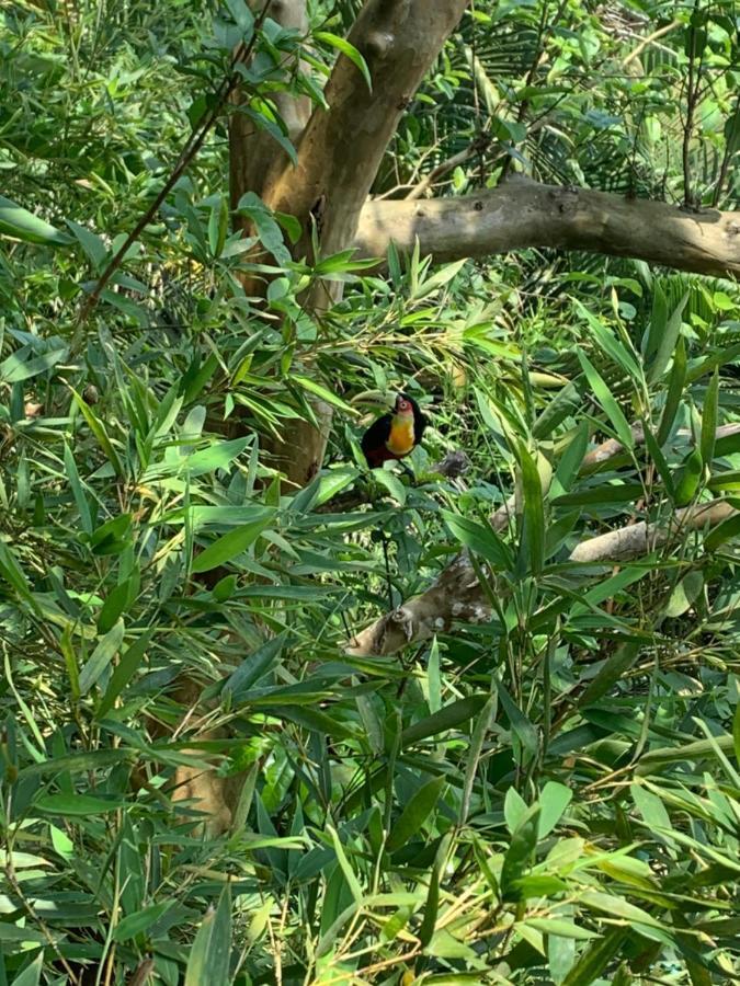 Pousada Encontro Das Ilhas Ilhabela Buitenkant foto